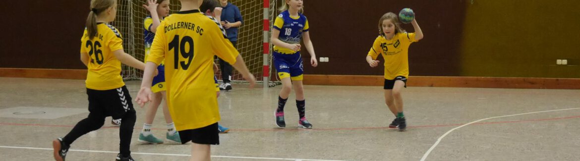 Handball: Der Nachwuchs aus dem Landkreis beim Minispielfest dabei