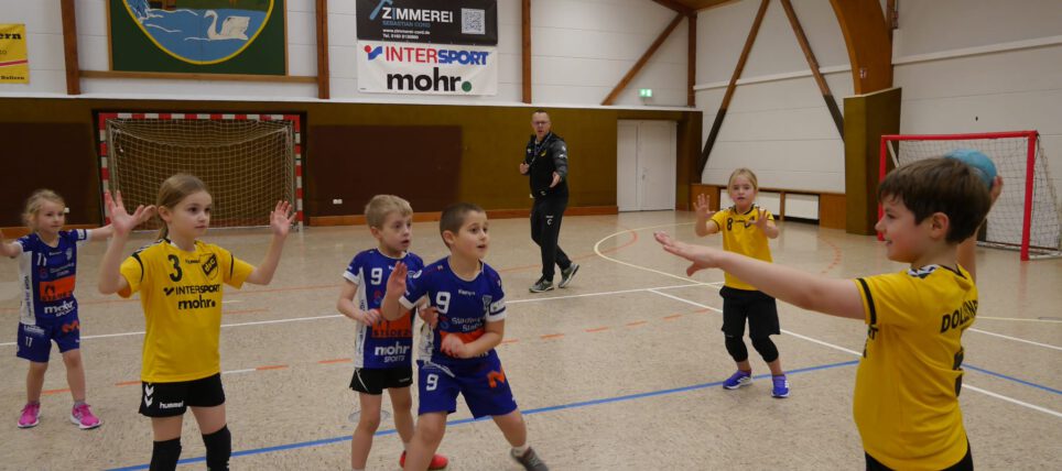 Handball: Der Nachwuchs aus dem Landkreis beim Minispielfest dabei